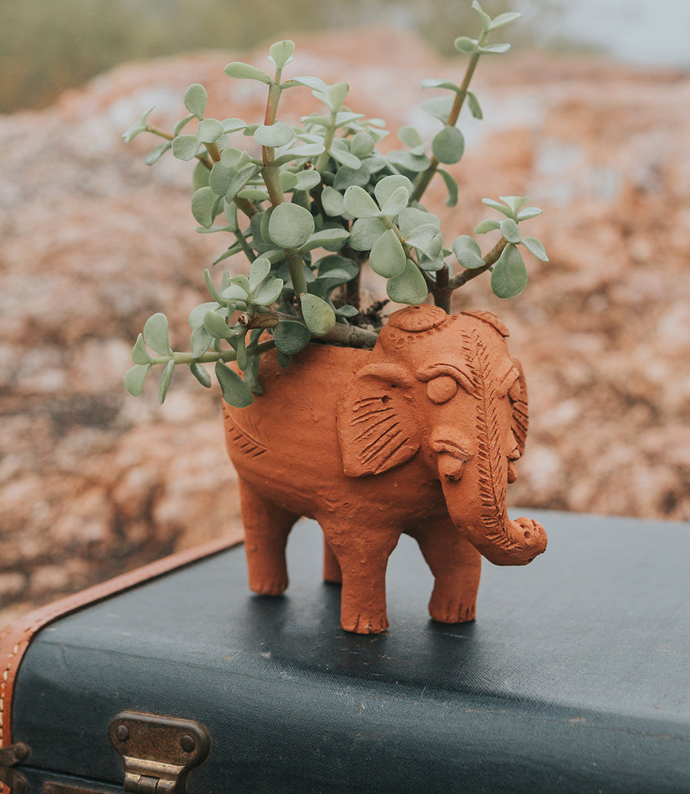 Rakshana Elephant Plant Pot - Terracotta – Garden