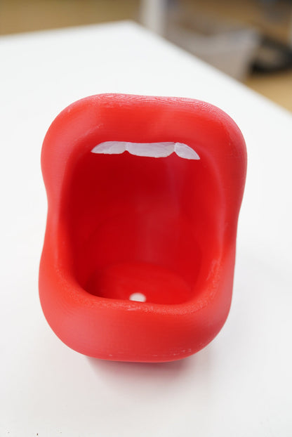3D Lips Planter with Drainage Hole for 2-Inch Plants