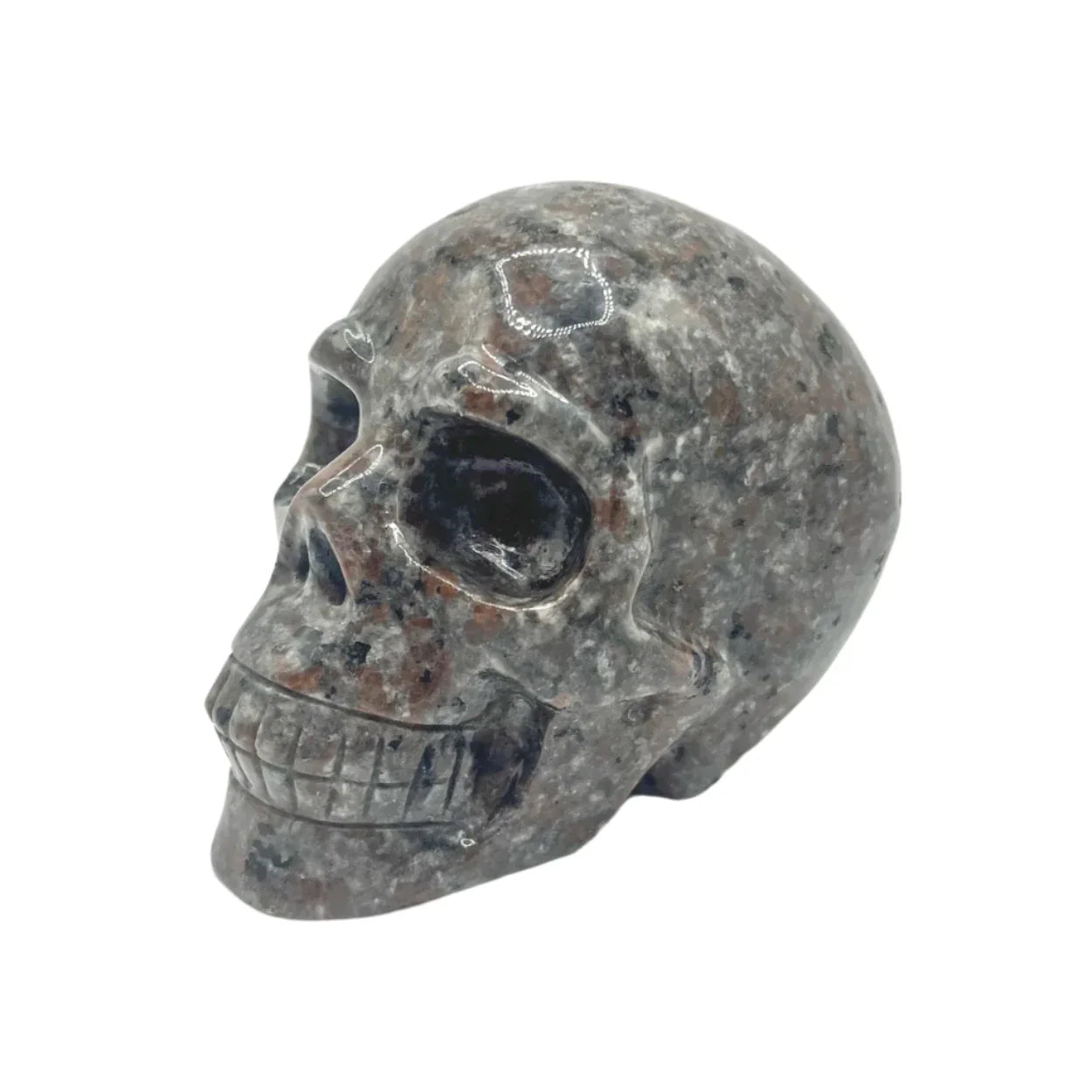 Yooperlite Skull – Rocks & Fossils