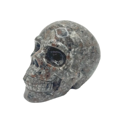 Yooperlite Skull – Rocks & Fossils