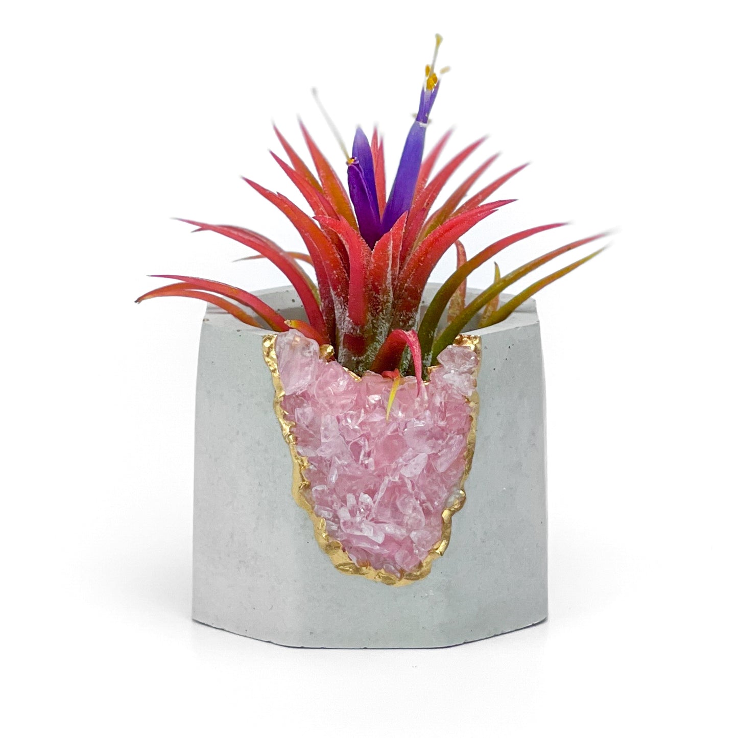 ROSE QUARTZ GEODE PLANTER – Small Geode Planter