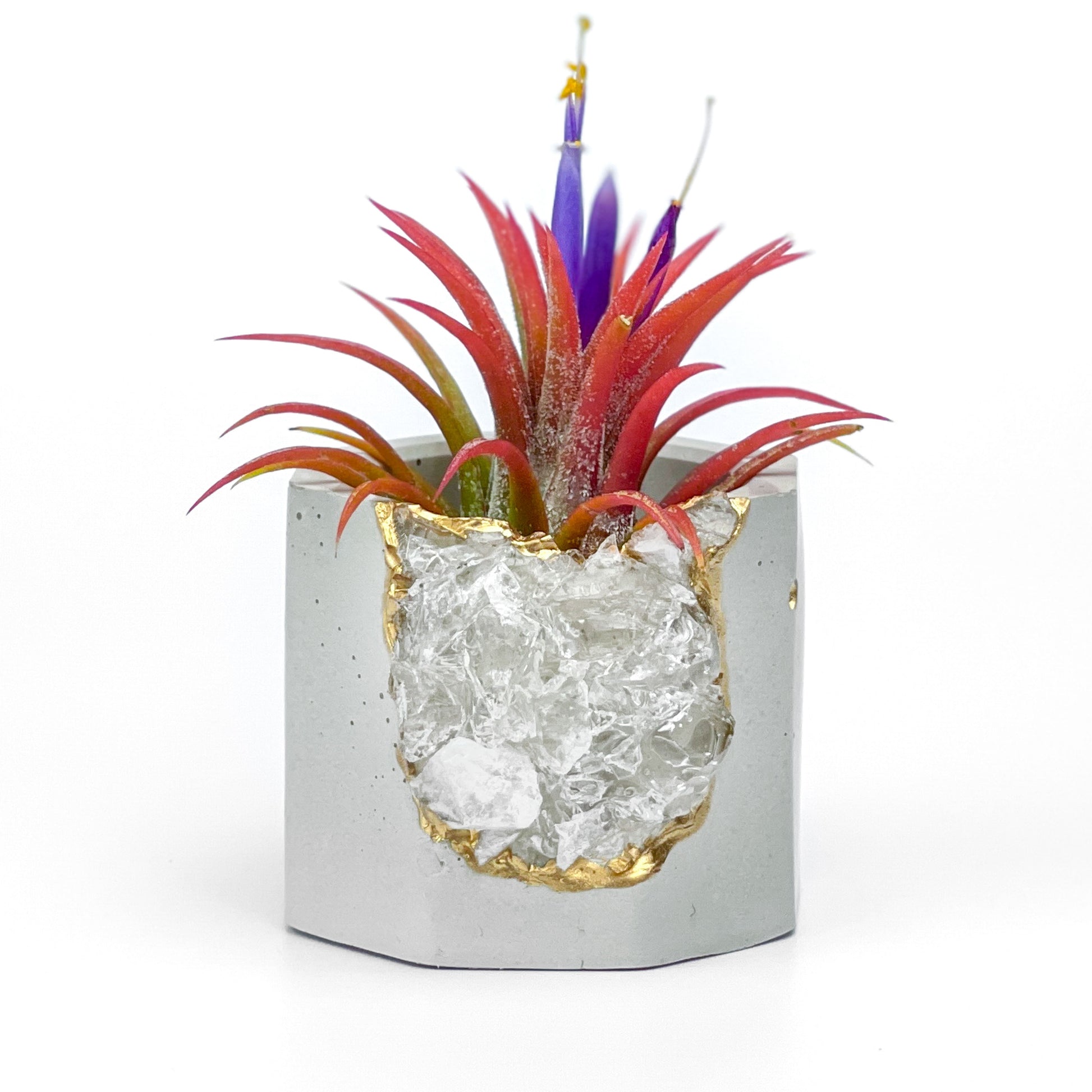 Raw CLEAR QUARTZ GEODE PLANTER – Small Geode Planter