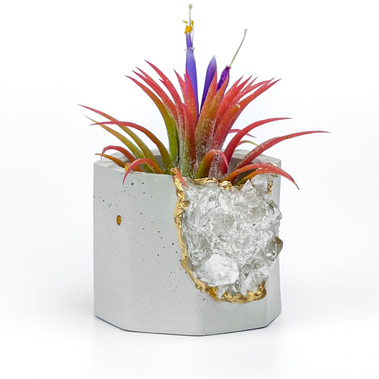 Raw CLEAR QUARTZ GEODE PLANTER – Small Geode Planter