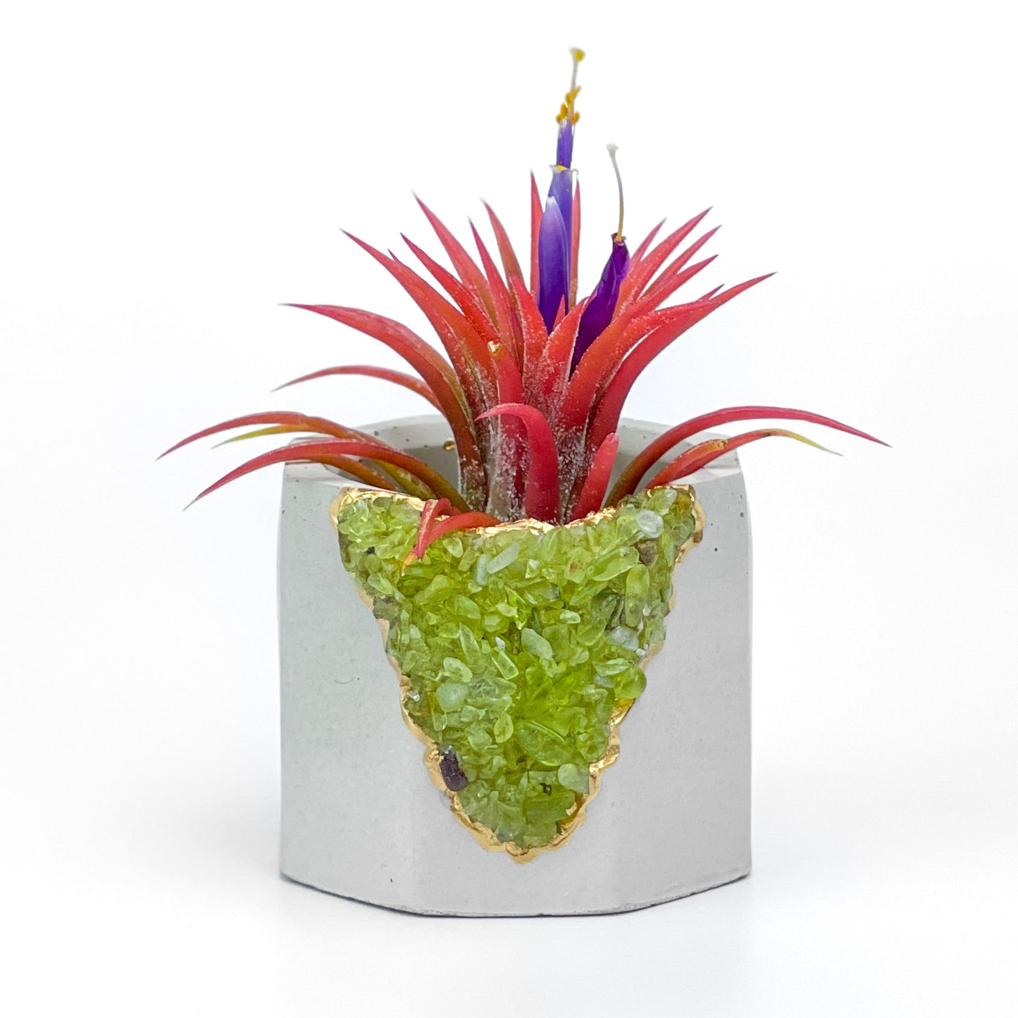 GREEN PERIDOT GEODE PLANTER – Small Geode Planter