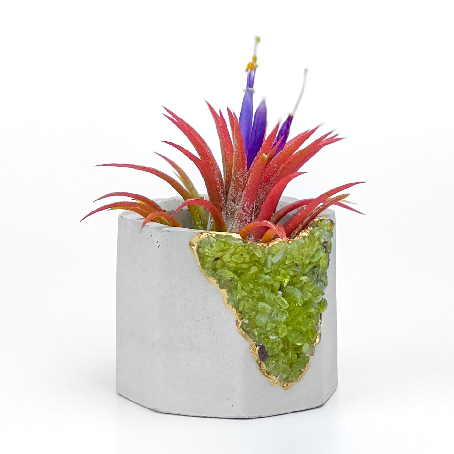 GREEN PERIDOT GEODE PLANTER – Small Geode Planter