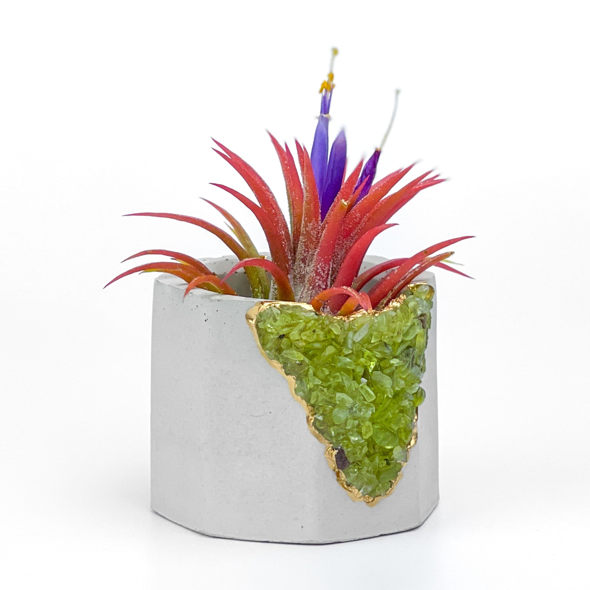 GREEN PERIDOT GEODE PLANTER – Small Geode Planter