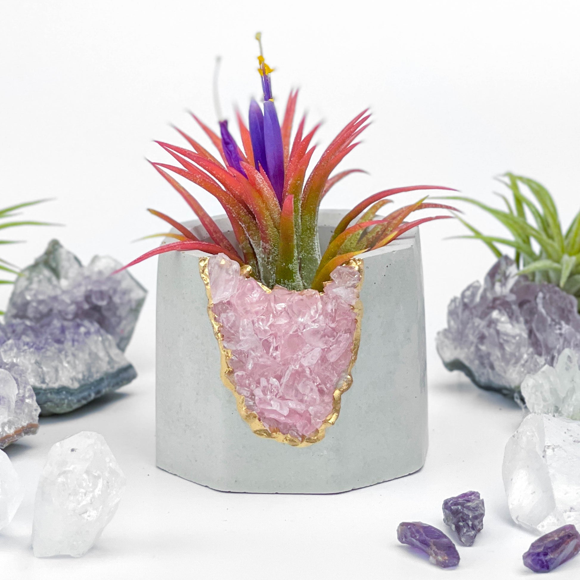 ROSE QUARTZ GEODE PLANTER – Small Geode Planter