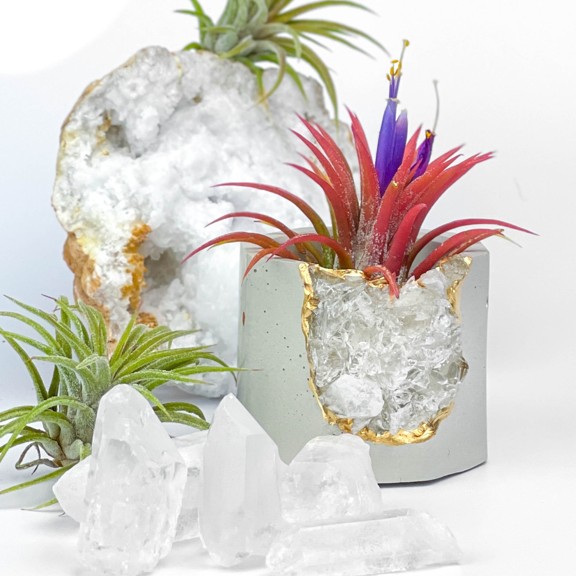 Raw CLEAR QUARTZ GEODE PLANTER – Small Geode Planter