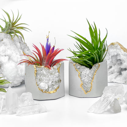 Raw CLEAR QUARTZ GEODE PLANTER – Small Geode Planter