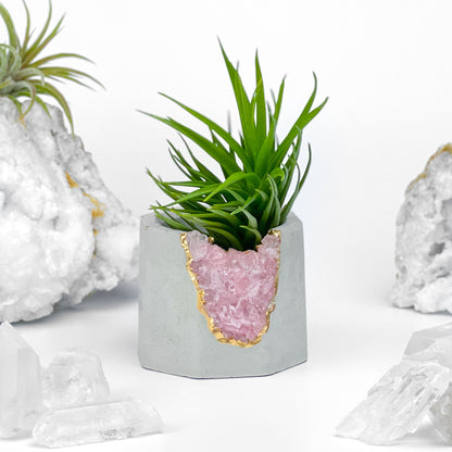 ROSE QUARTZ GEODE PLANTER – Small Geode Planter