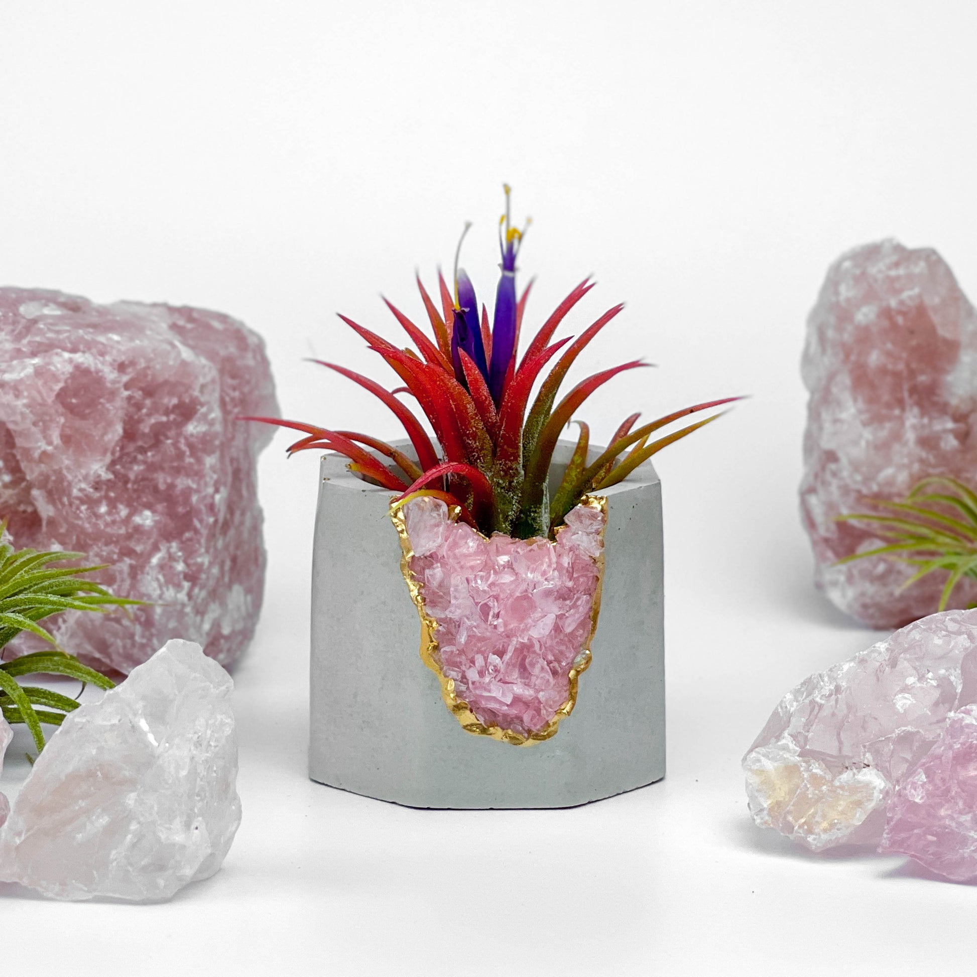 ROSE QUARTZ GEODE PLANTER – Small Geode Planter