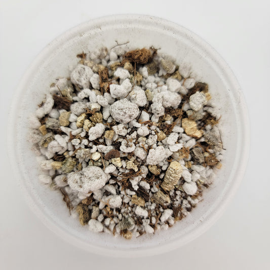 Mexican Pinguicula soil mix – Soil mix