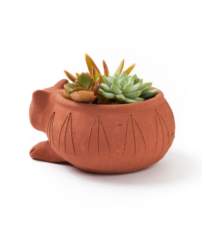 Rakshana Cat Plant Pot - Terracotta – Garden