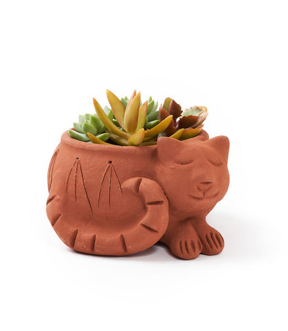 Rakshana Cat Plant Pot - Terracotta – Garden