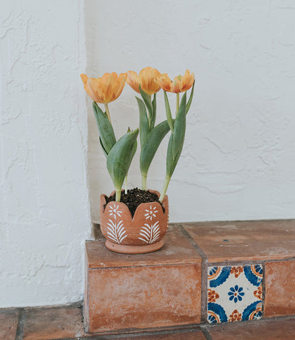 Vasanta Petals Planter with Drainage - Terracotta – Garden