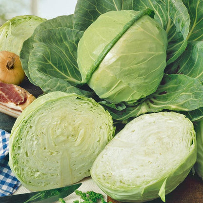 Cabbage, Golden Acre, Seeds (Organic) – Vegetable Seeds