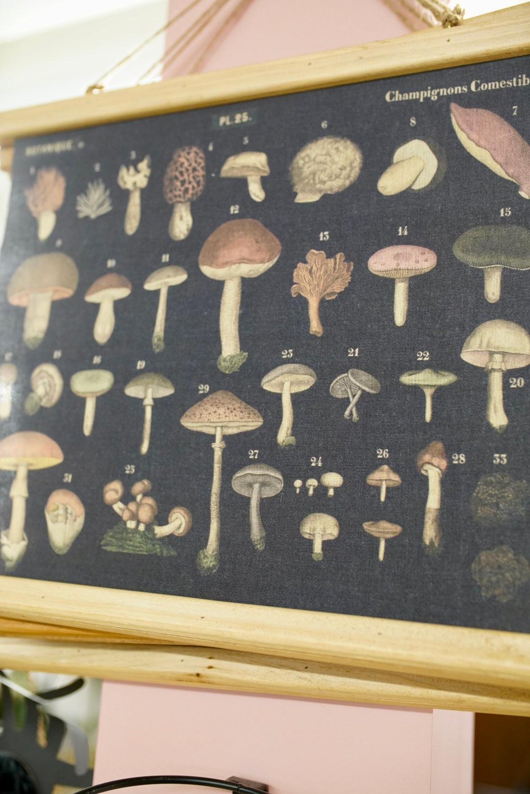 Mushroom Canvas Wall Decor – artwork