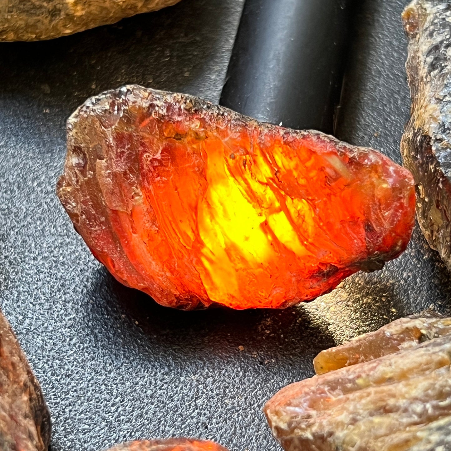 Black Amber Fossilized Tree Resin Mixed Sizes Rough Raw Stones (By The Piece or Pound)(UV Reactive) Wholesale – Home & Living > Home Decor > Home Accents > Rocks & Geodes