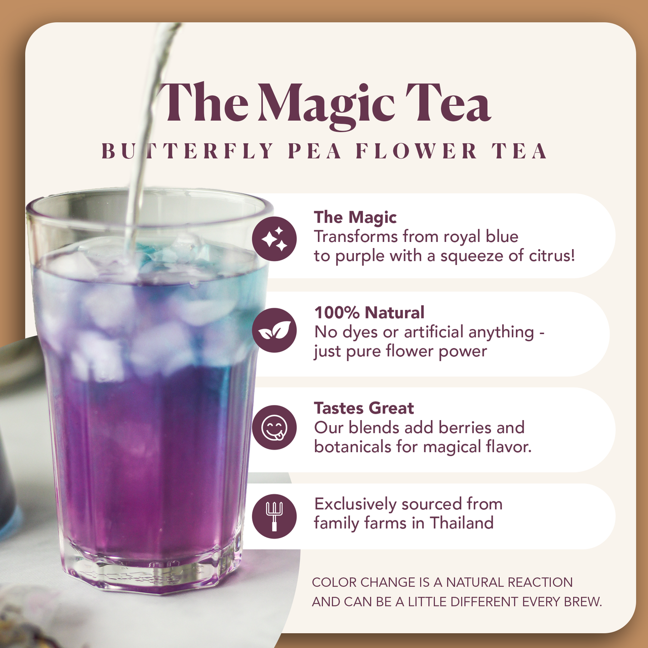 Magical Butterfly Herbal Tea (Butterfly Pea Flower / Berries) –