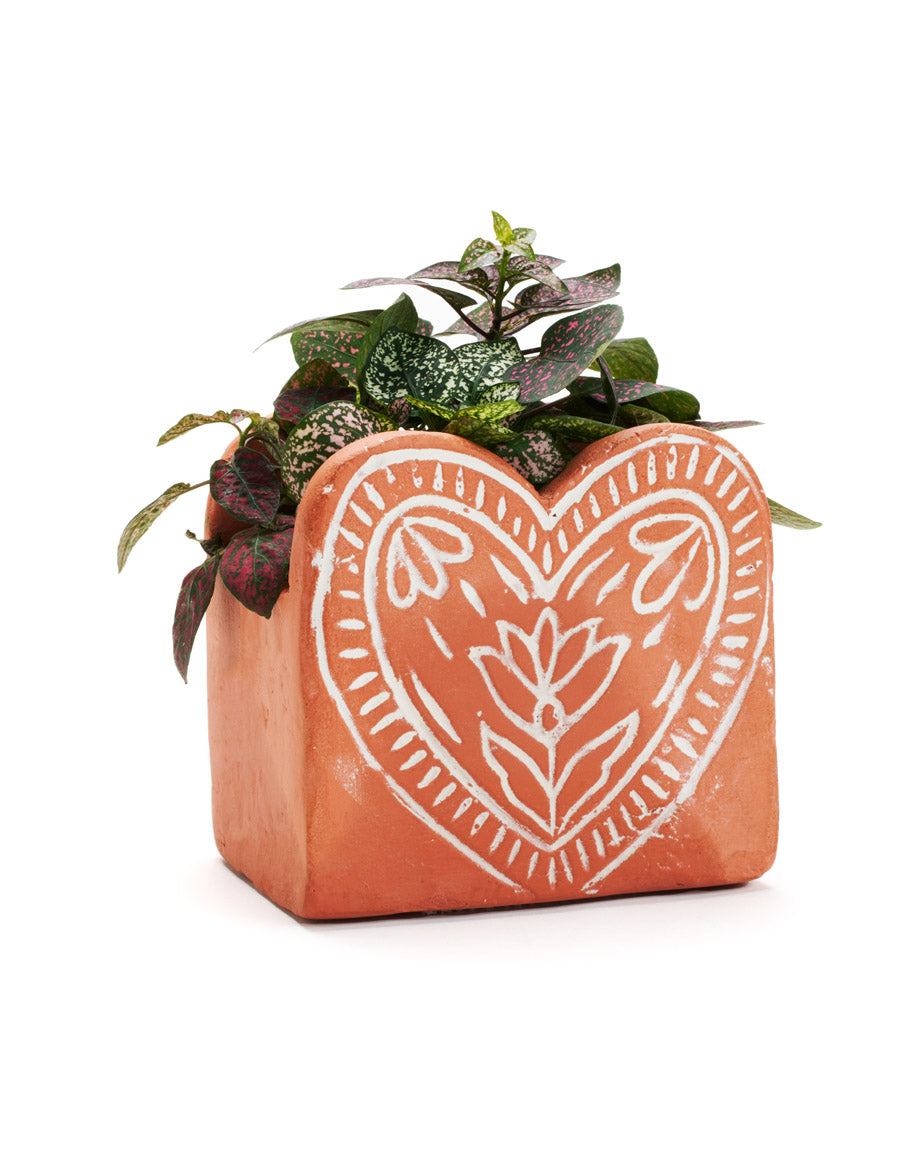 Vasanta Heart Planter with Drainage - Terracotta – Garden