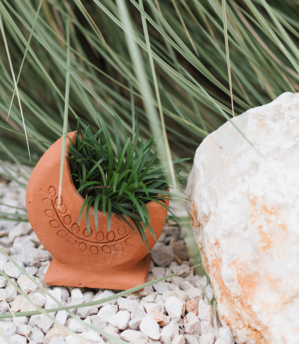Rakshana Cresecent Moon Plant Pot - Terracotta – Garden