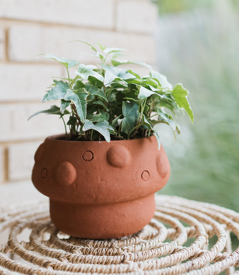 Rakshana Mushroom Plant Pot - Terracotta – Garden