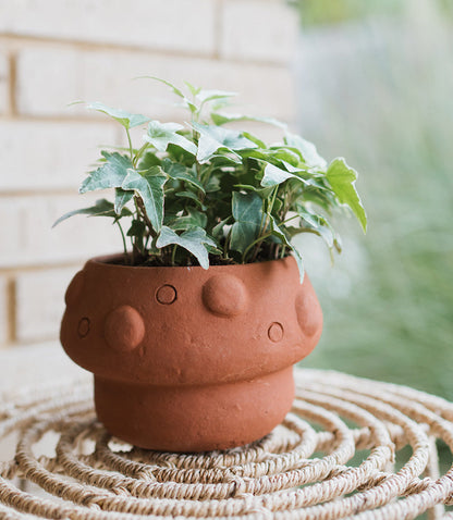 Rakshana Mushroom Plant Pot - Terracotta – Garden