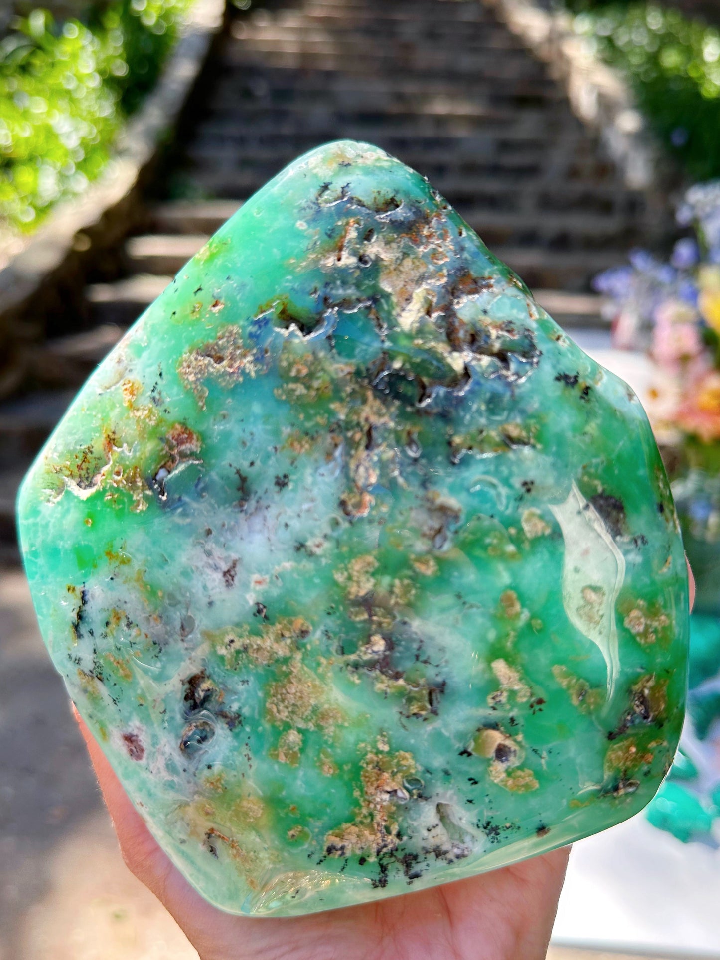 Chrysoprase Freeform - from Australian –