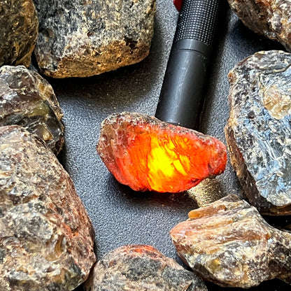 Black Amber Fossilized Tree Resin Mixed Sizes Rough Raw Stones (By The Piece or Pound)(UV Reactive) Wholesale – Home & Living > Home Decor > Home Accents > Rocks & Geodes