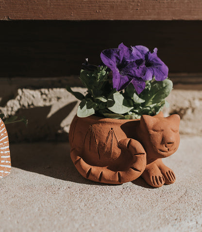 Rakshana Cat Plant Pot - Terracotta – Garden