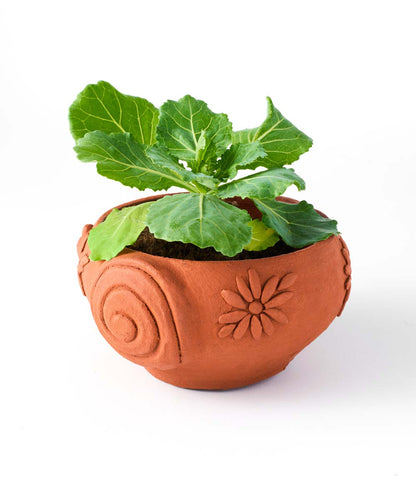 Rakshana Snail Plant Pot - Terracotta – Garden