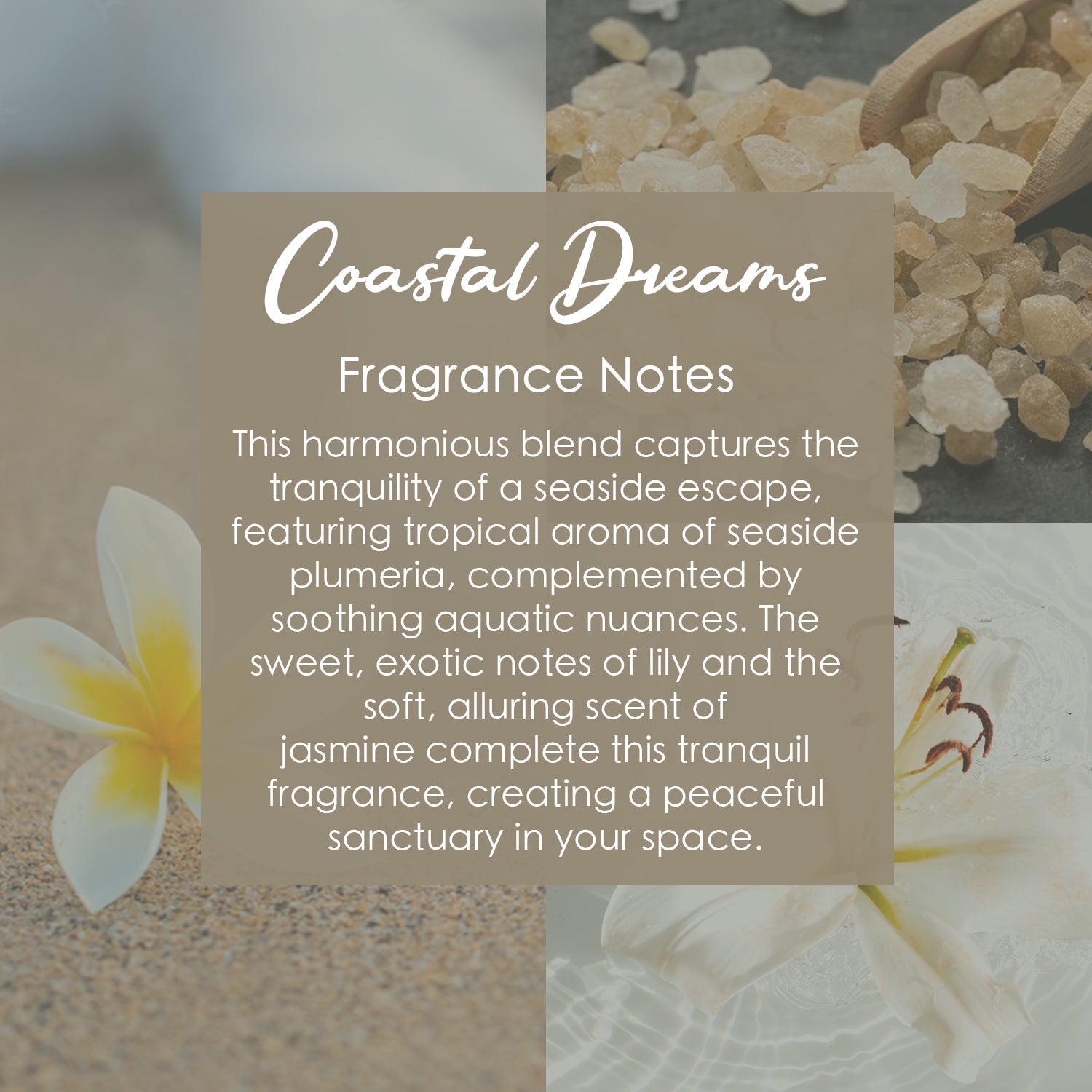 Coastal Dreams Crystal-Enhanced Premium Coconut-Soy Wax Melts – Crystal Wax Melts
