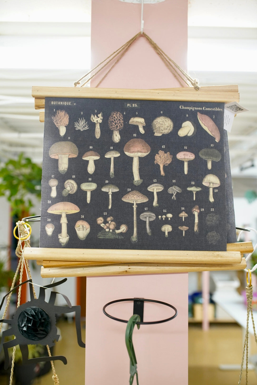 Mushroom Canvas Wall Decor – artwork