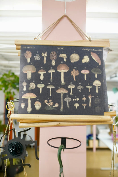 Mushroom Canvas Wall Decor – artwork