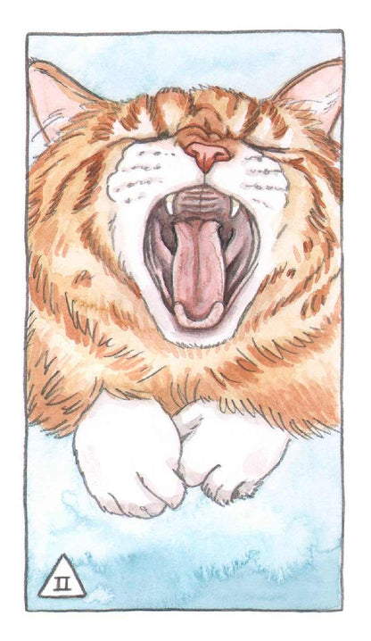 Cat Tarot Deck – Sacred Book Store