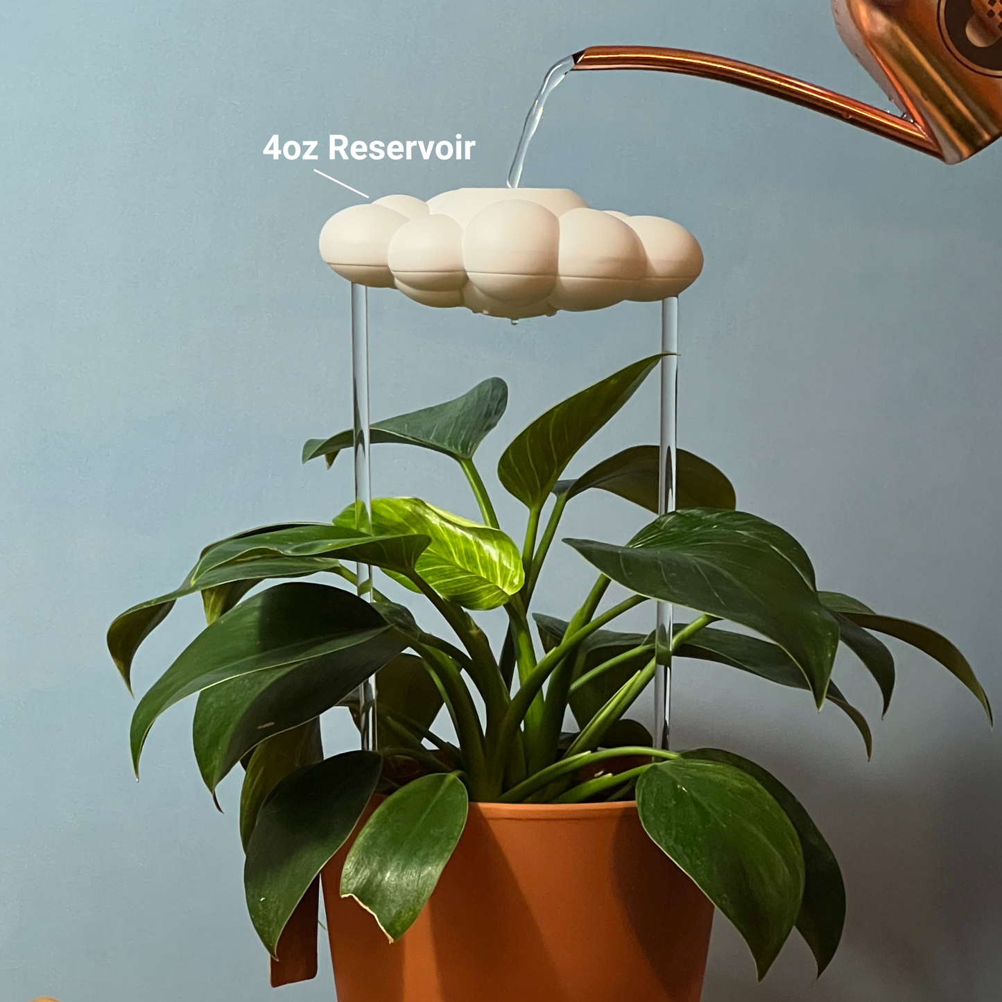 Stormy Dripping Rain Cloud with Glow in the Dark Moon Charm – House Plant Accessory