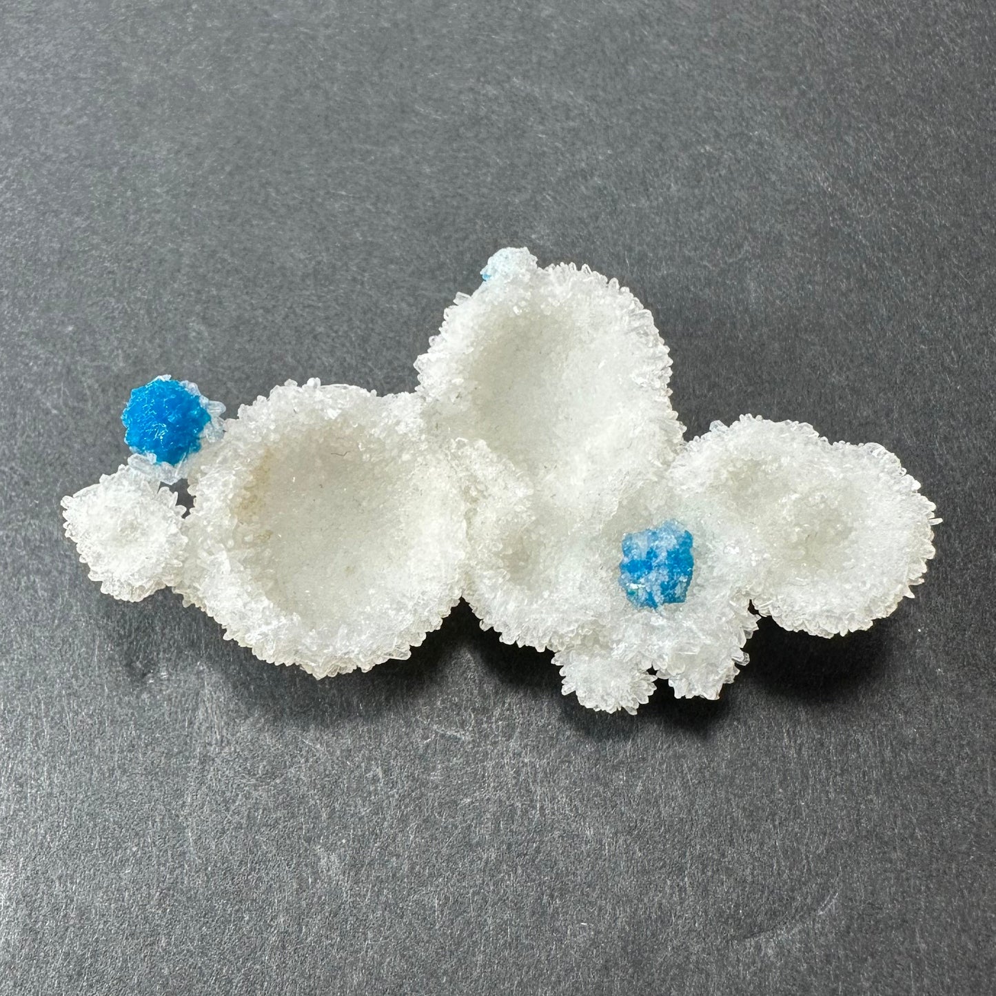 Cavansite Ball 'Floaters' on Stilbite MD – #5 Minerals