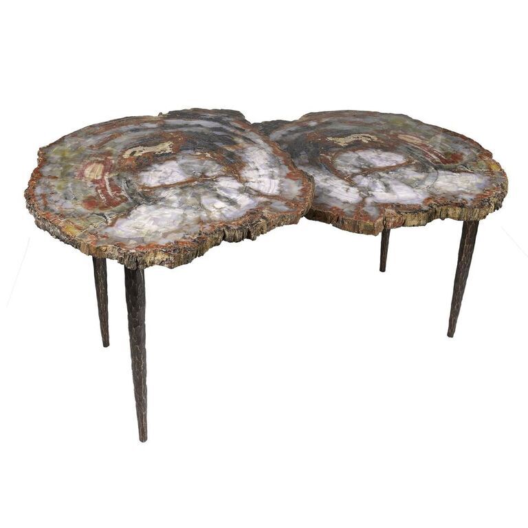 Arizona Petrified Wood Duo Slice Table with Forged Steel Base