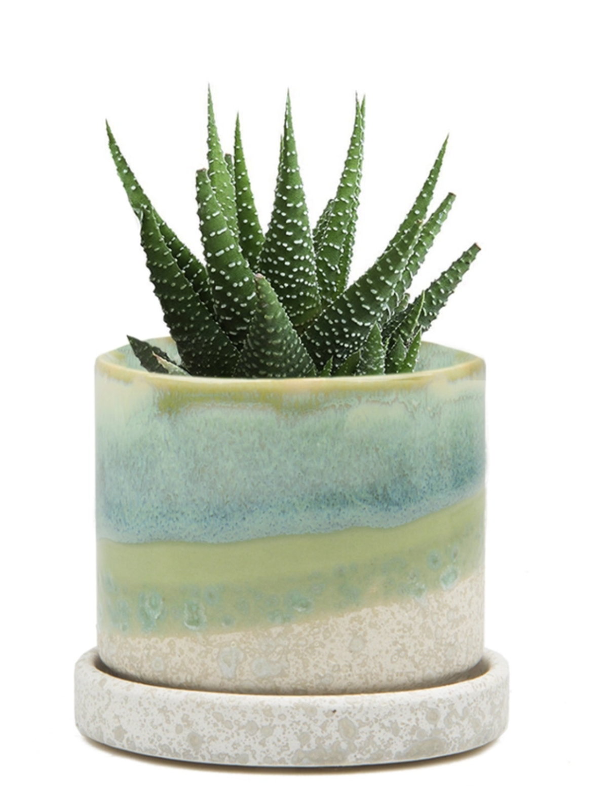 Cement Green Ceramic Plant Pot and Saucer – plant pot
