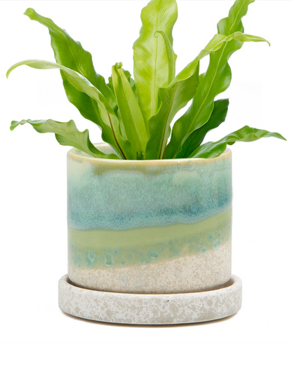 Cement Green Ceramic Plant Pot and Saucer – plant pot