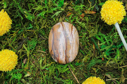 Picture Jasper Palm Stone 2"