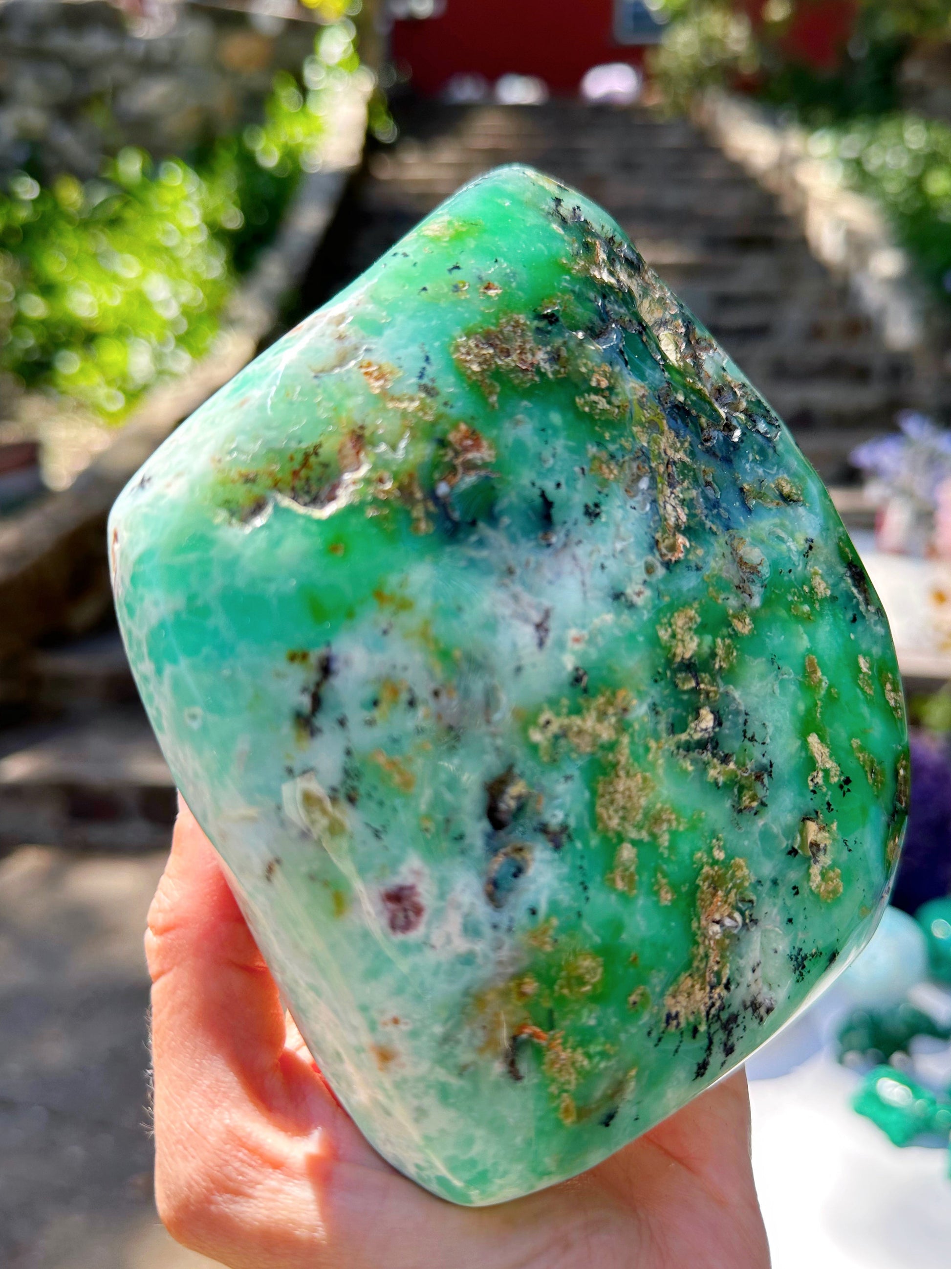 Chrysoprase Freeform - from Australian –