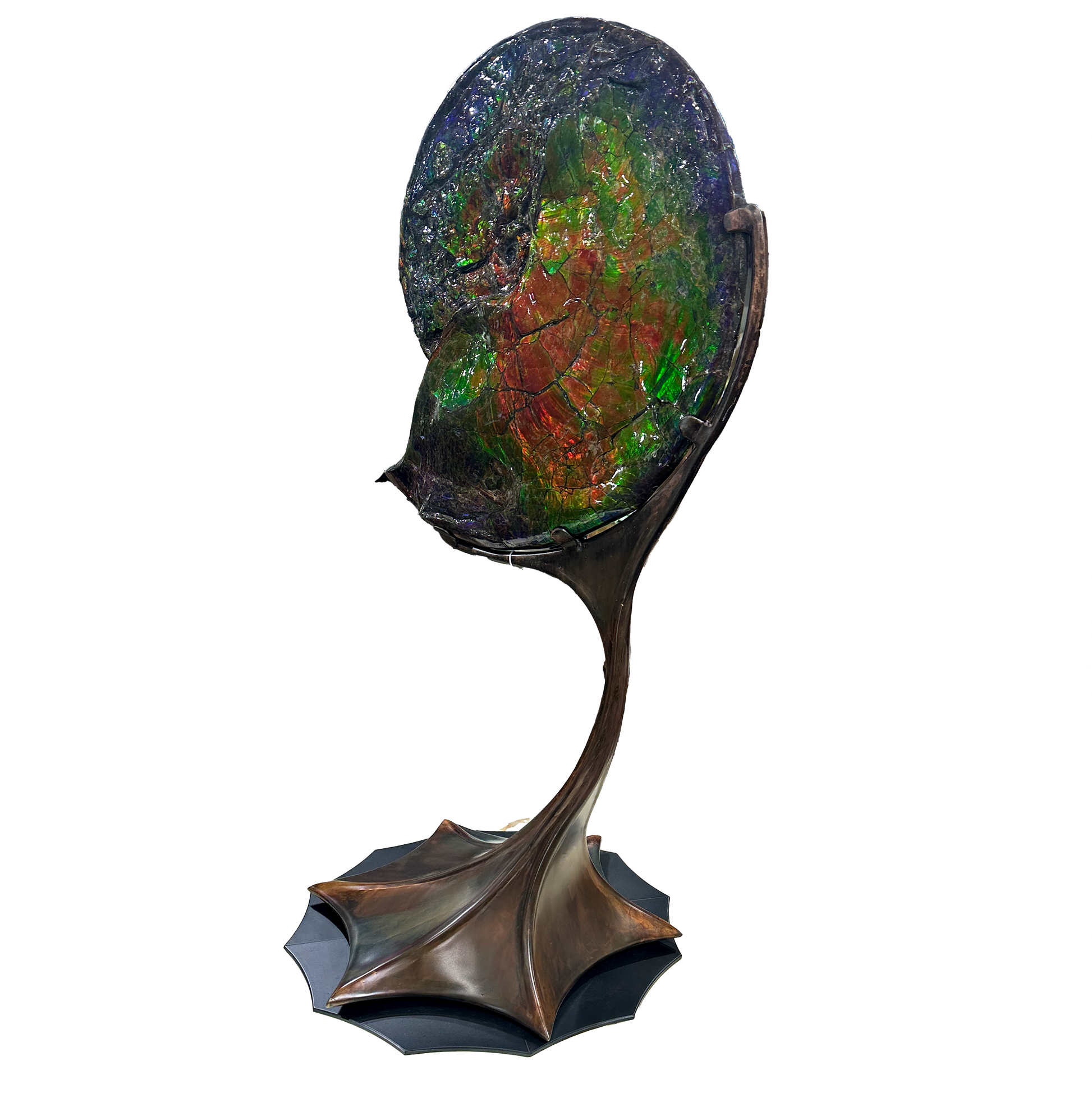 A+ Ammonlite Fossil in Custom Rotating Stand - Whole with Vibrant Colors in Theatrical Design Stand with Patina Finish –