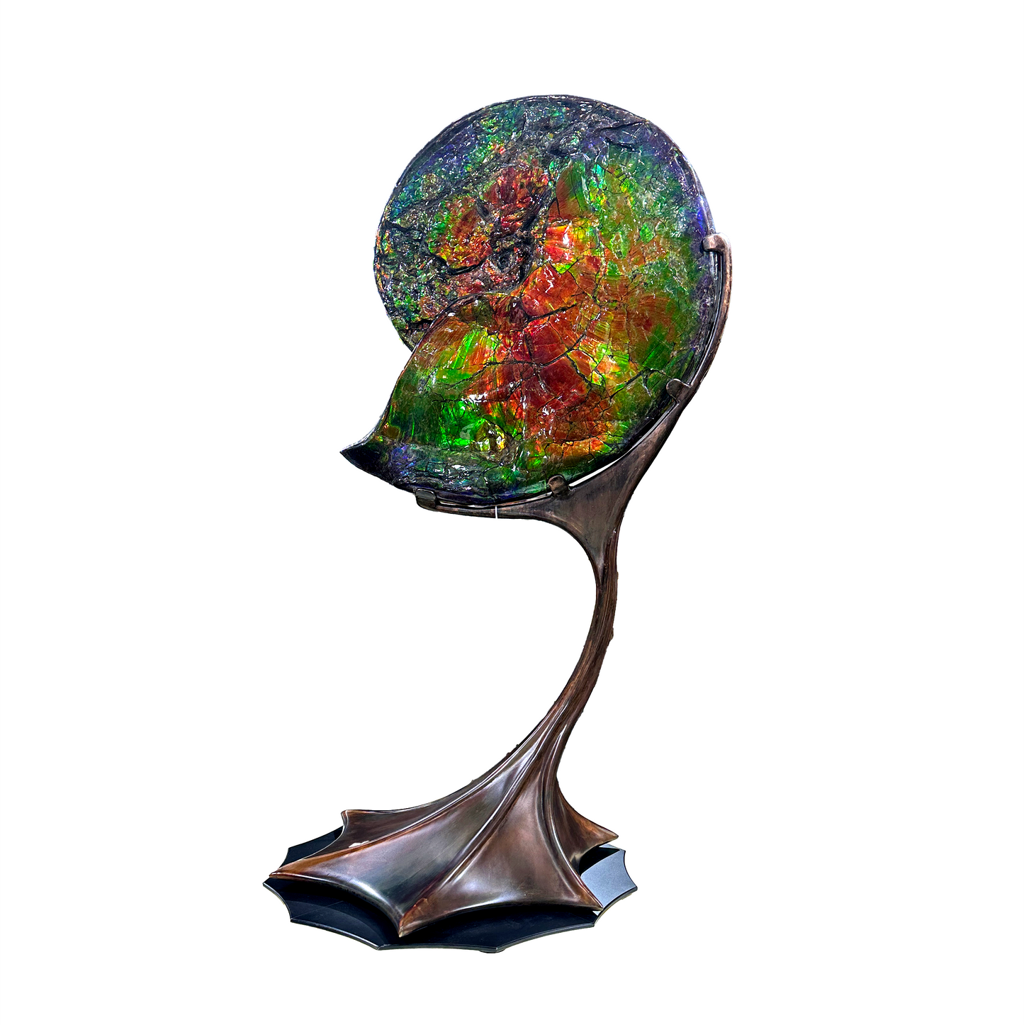 A+ Ammonlite Fossil in Custom Rotating Stand - Whole with Vibrant Colors in Theatrical Design Stand with Patina Finish –