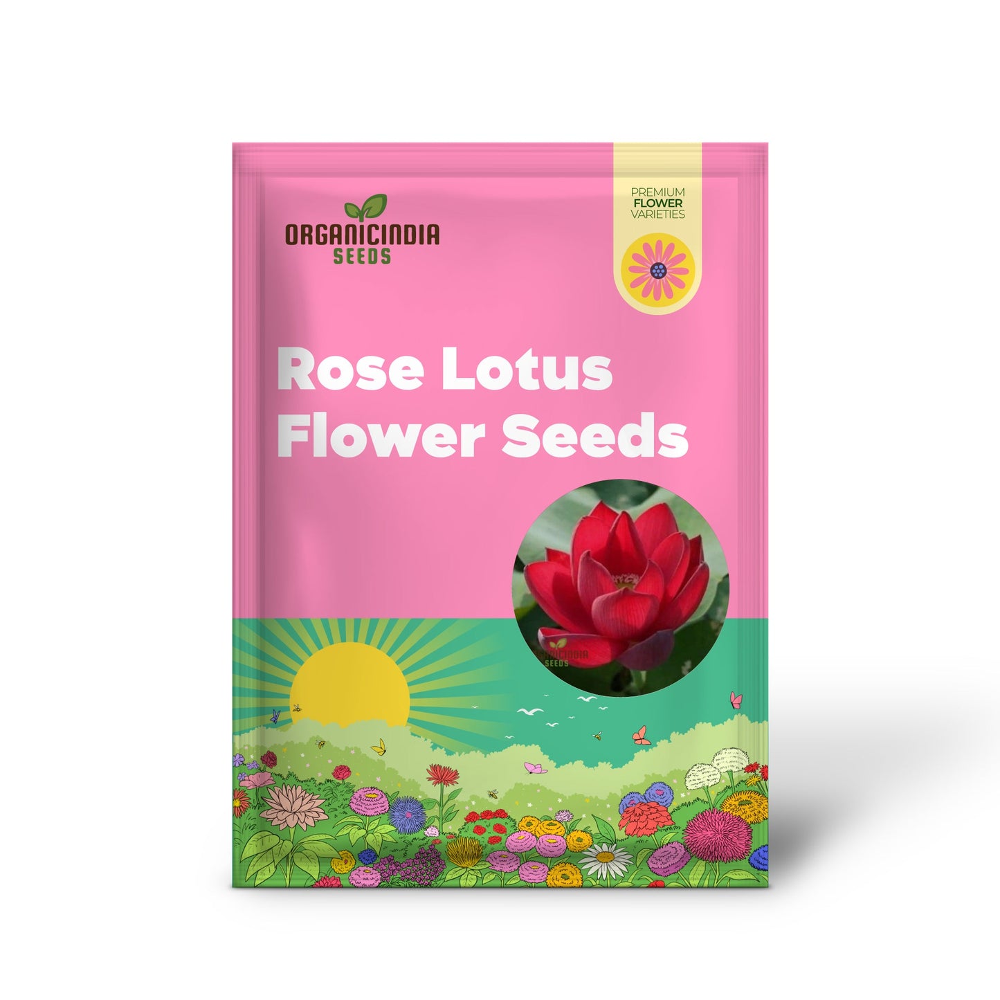 Red Rose Lotus Flower Seeds for planting Stunning Garden Blooms