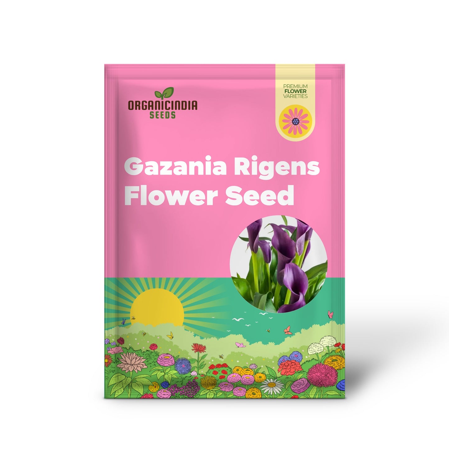 Gazania Rigens Flower Seeds - African Sunflower - 100 pcs