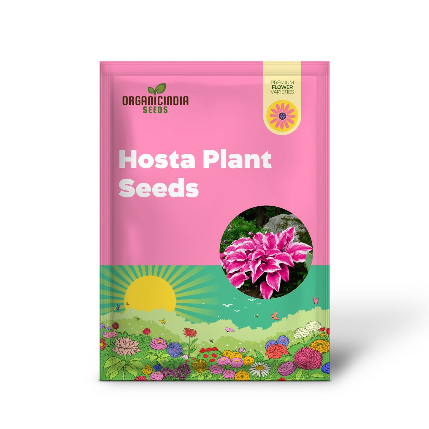 Pink Hosta Seeds Perennial Bonsai for Indoor And Outdoor Gardens, Pollinator Friendly