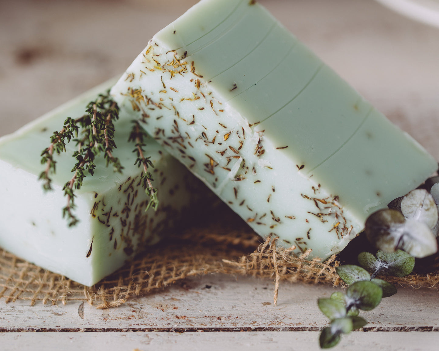 [Eucalyptus Thyme] -- Handmade Organic Soap