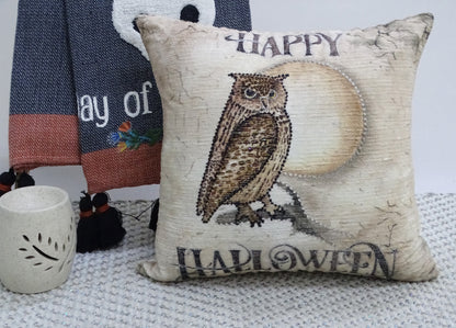 Vibhsa Decorative Throw Pillow 20" x 20" for Halloween