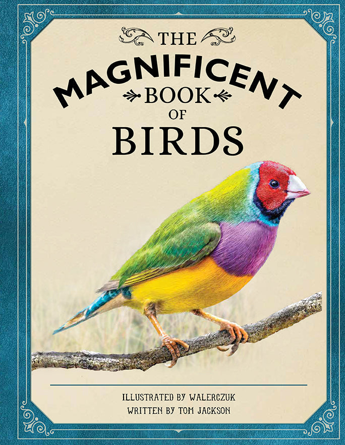The Magnificent Book of Birds – Hardcover